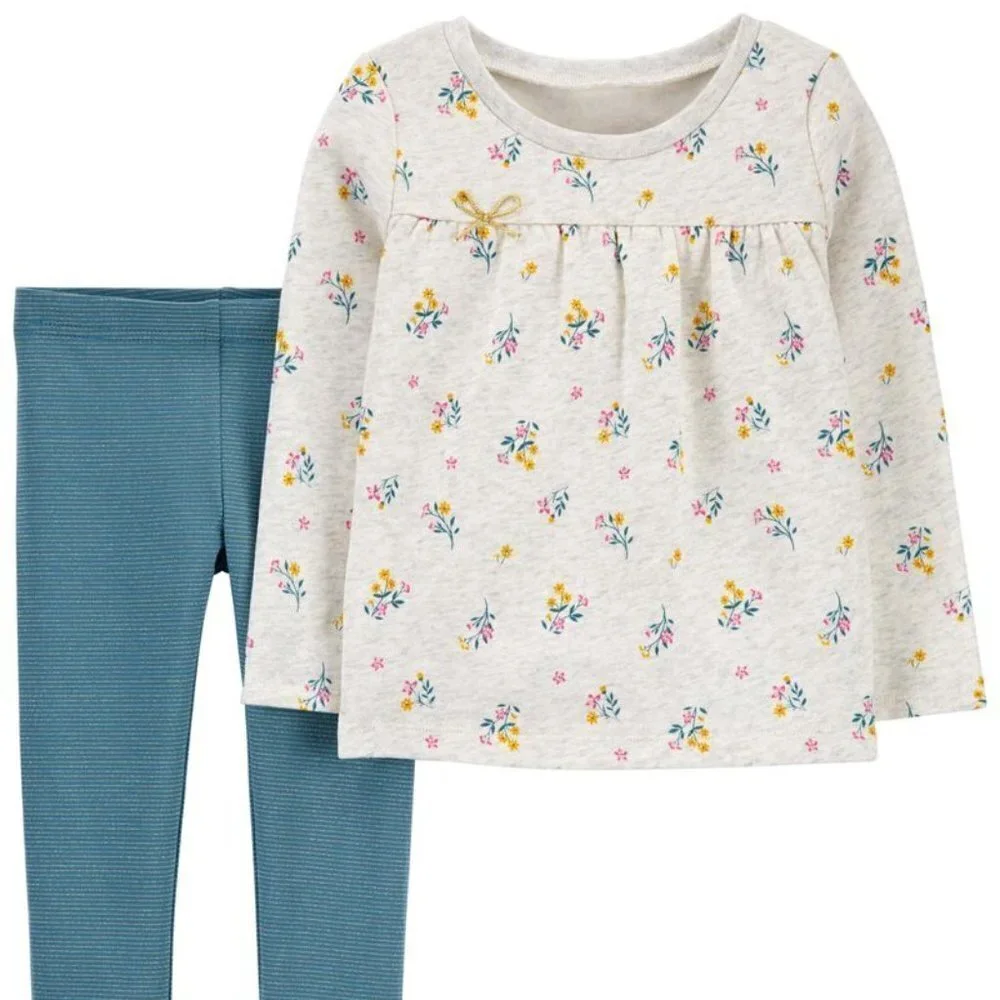 Carter's NWT Baby Girl 18 Month Two Piece Outfit Grey Floral Blue Stripe Legging - Picture 1 of 2